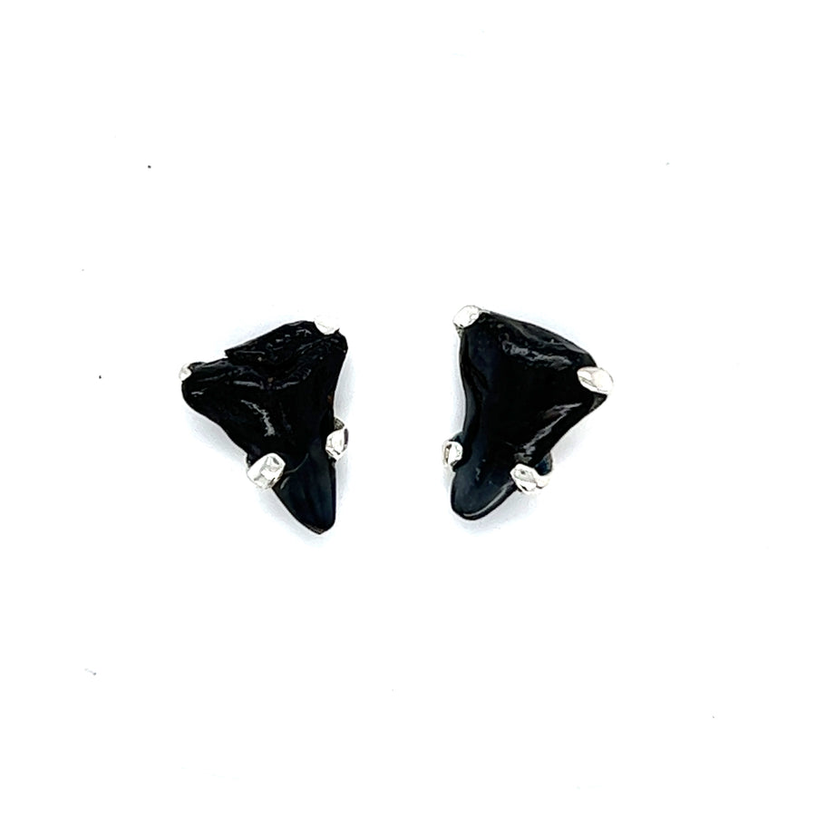 Silver Earrings - Colored Stone