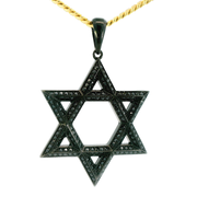 14K White Gold Black Ruthenium Plated Black Diamond Star of David 'Max' Pendant