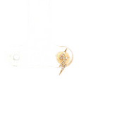 14K Yellow Gold Lighting Stud Natural Diamond Earring
