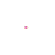 14K Yellow Gold Martini Set Natural Round Cut Pink Sapphire Stud Earring
