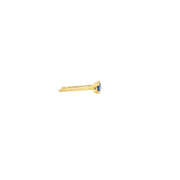 14K Yellow Gold Martini Set Blue Sapphire Stud Earrings