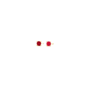 14K Yellow Gold Martini Set Red Ruby Stud Earrings