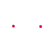 14K Yellow Gold Martini Set Pink Ruby Stud Earrings