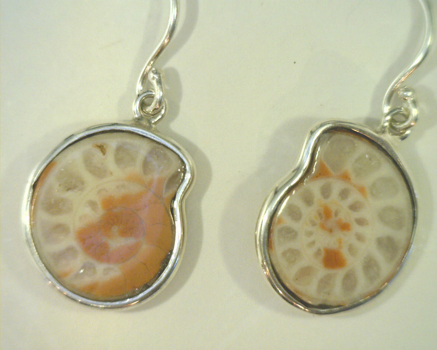 Silver Earrings - Colored Stone